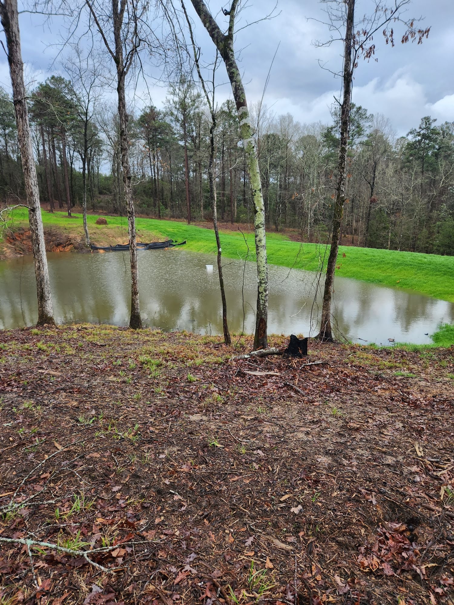 pond construction & repair enterprise al