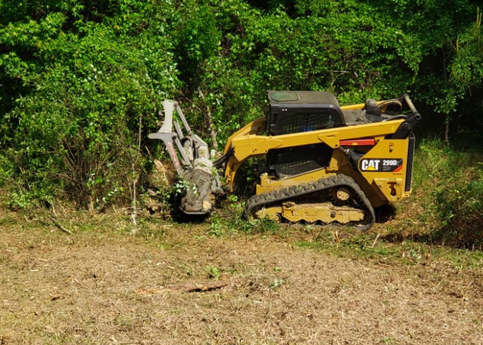 forestry mulching enterprise al being done by H&H Land improvements